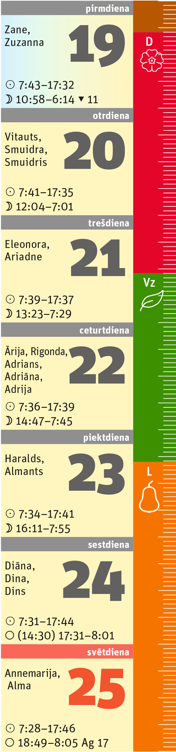 8. nedēļa. 8. nedēļa.
