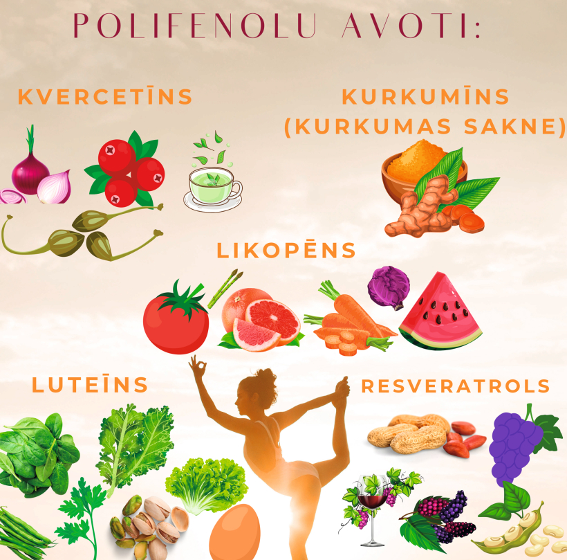 Polifenolu avoti. Polifenolu avoti.