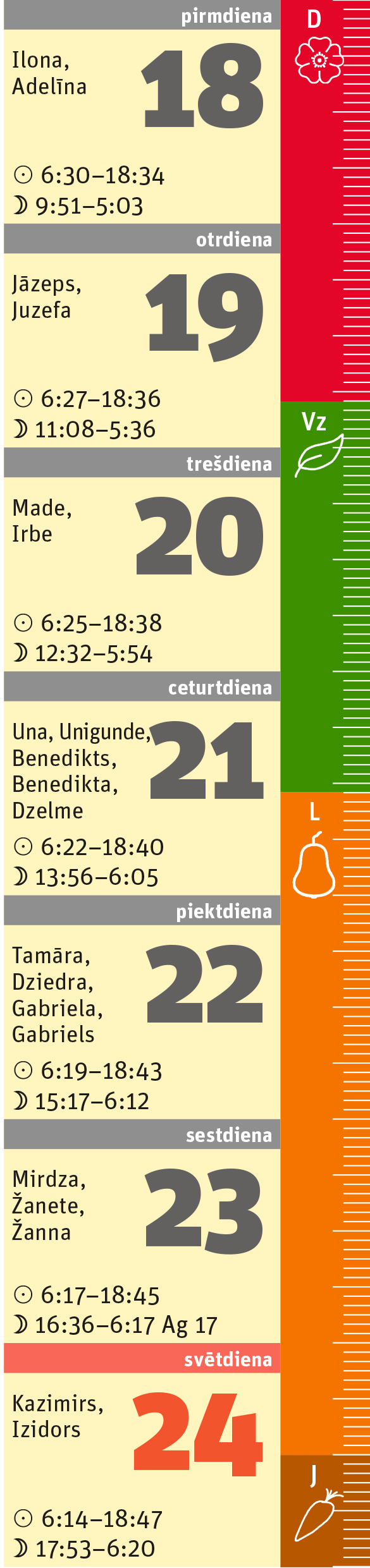 12. nedēļa.