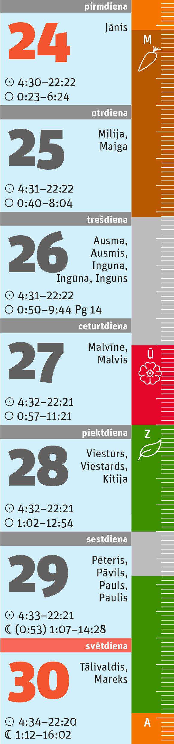 26. nedēļa. 26. nedēļa.