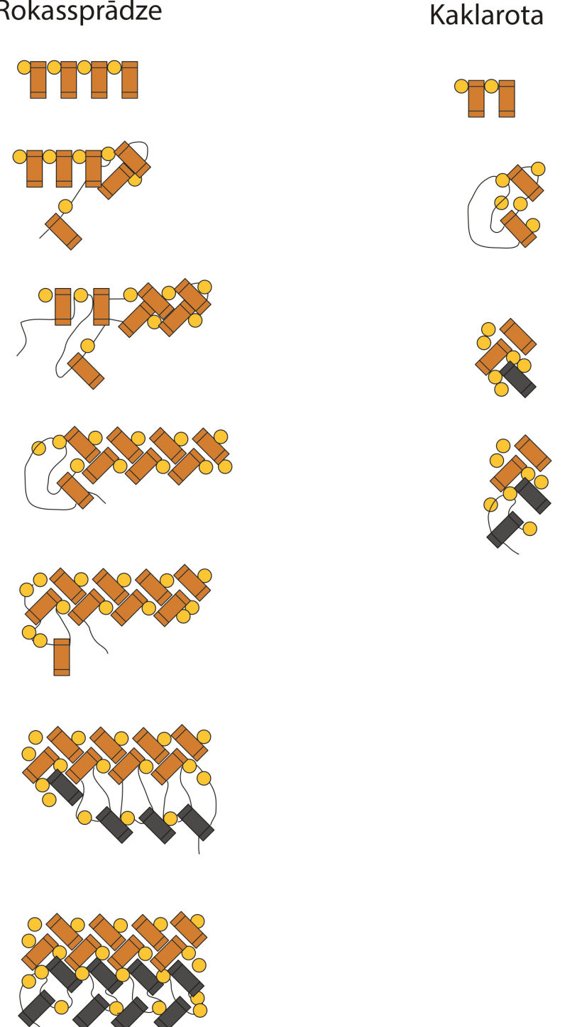 Tehniskais raksts. Tehniskais raksts.