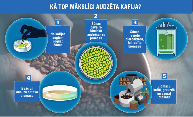Kafija. Kafija.
