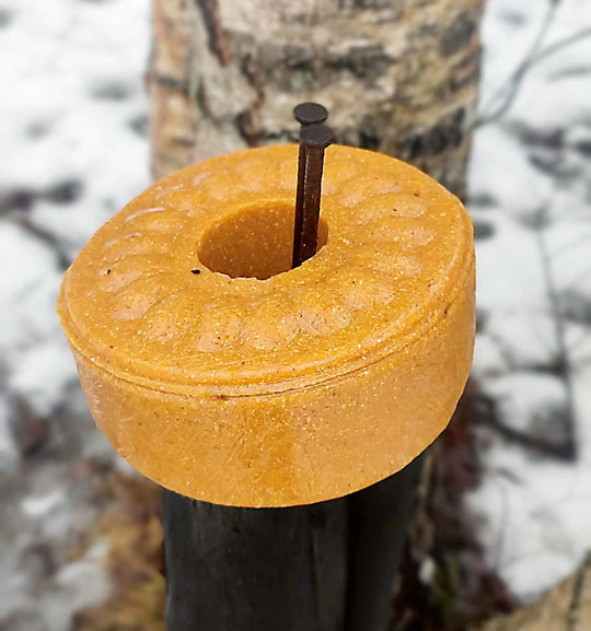 Mežazvēru kārums.