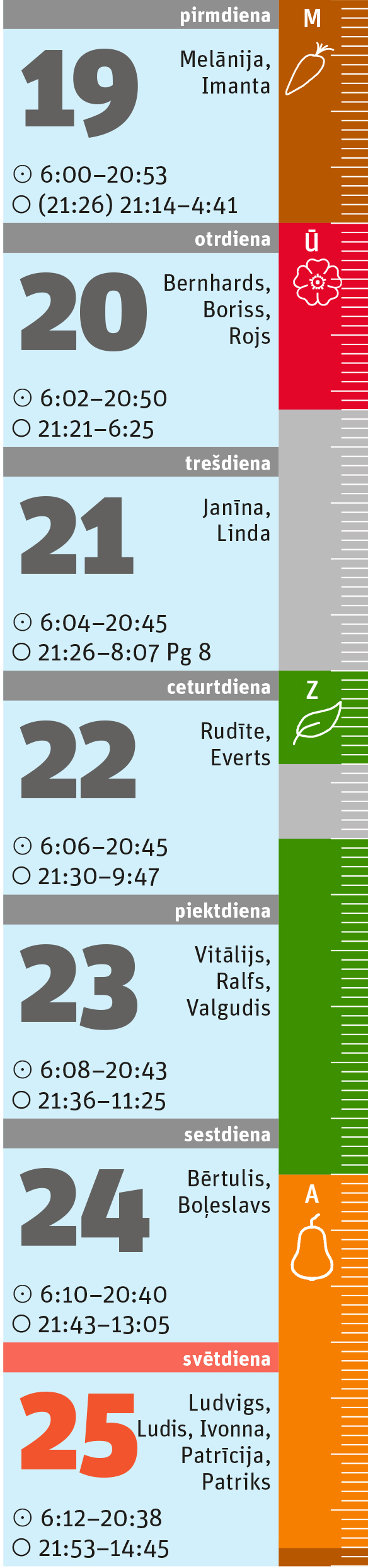 34. nedēļa. 34. nedēļa.
