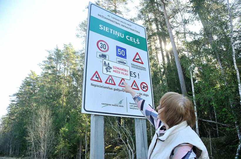 Dažviet Latvijas mežos uzliktas pat norādes, brīdinot cilvēkus par vilku klātbūtni. Pēc Valsts meža dienesta vērtējuma Latvijā patlaban mitinās apmēram 1400 vilku. Pēc citu zinātnieku pētījumiem – 500–800 vilku.