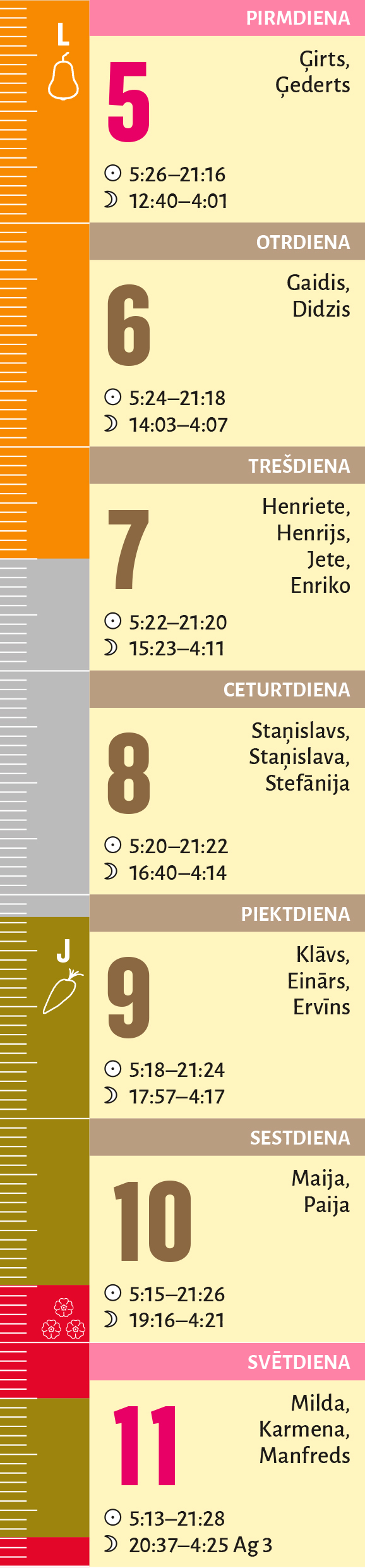 19. nedēļa. 19. nedēļa.
