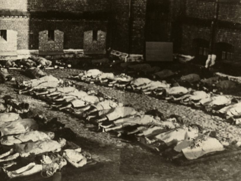 Nogalināto līķi pēc izvietošanas atpazīšanai. 1941. gada 4.–5. jūlijs. Nogalināto līķi pēc izvietošanas atpazīšanai. 1941. gada 4.–5. jūlijs.