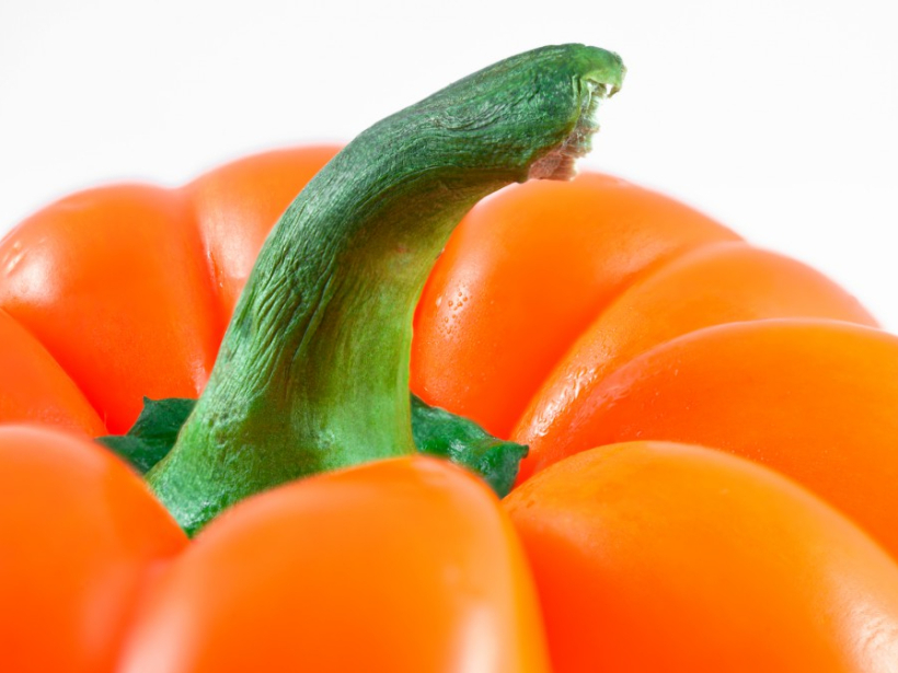 Paprika. Paprika.