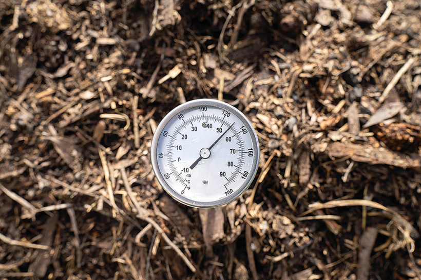 Temperatūra kaudzes iekšpusē var sasniegt 55–65 grādus. Temperatūra kaudzes iekšpusē var sasniegt 55–65 grādus.