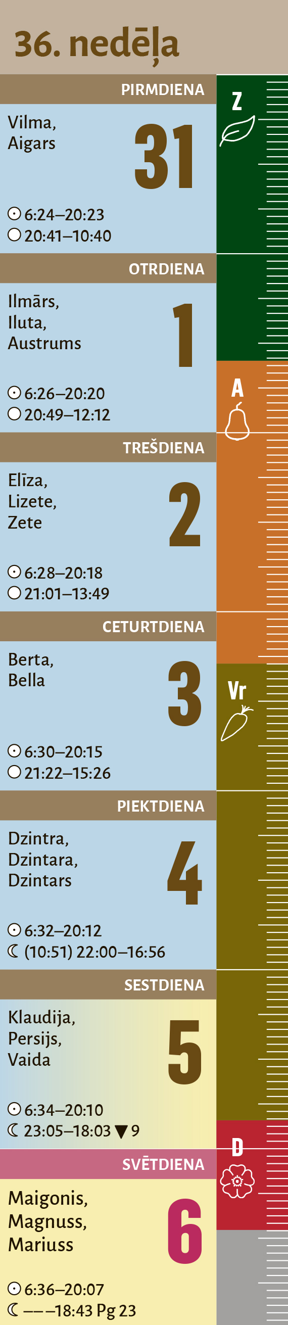 36. nedēļa. 36. nedēļa.