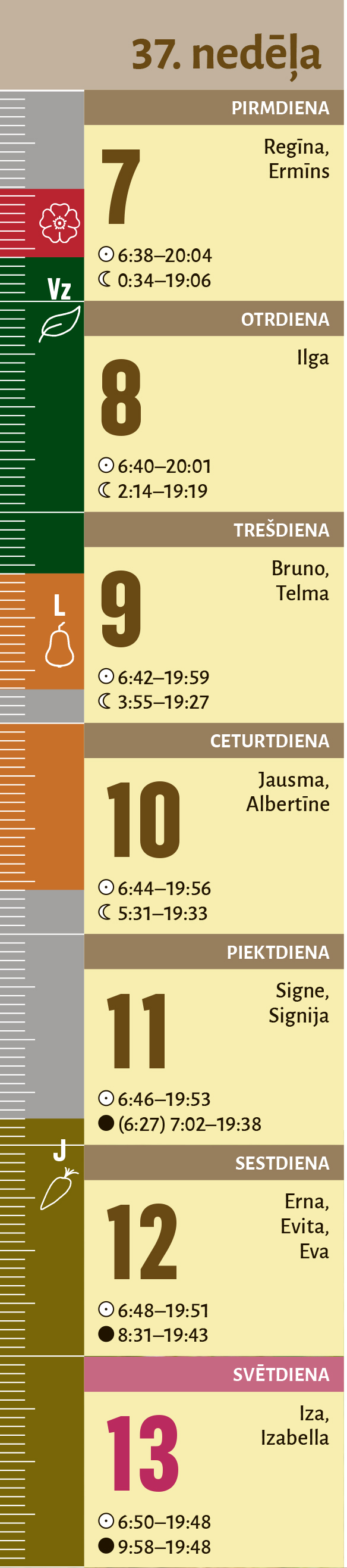37. nedēļa.