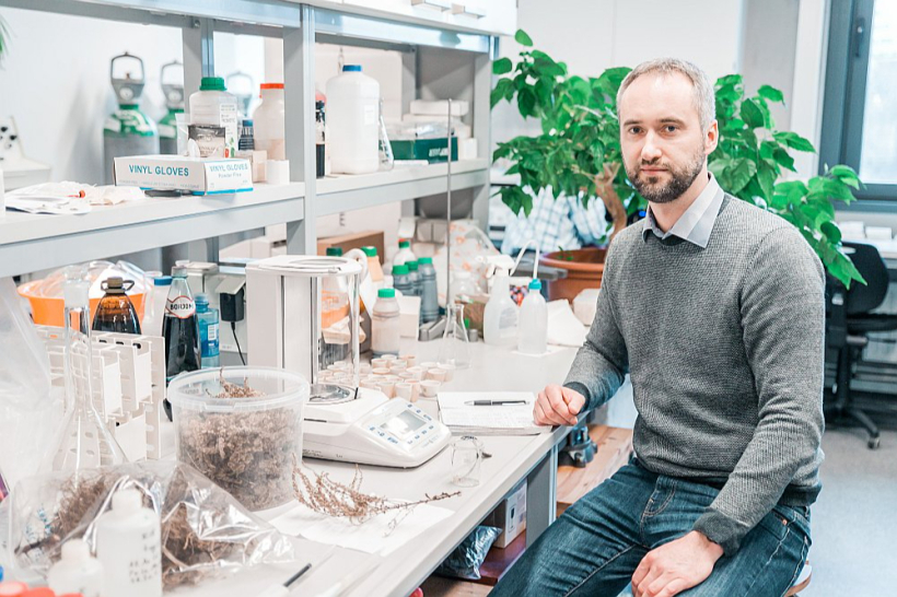 Latvijas Universitātes pētnieks Oskars Purmalis veicis derīgo savienojumu izpēti Sosnovska latvānī: "Pļaujot iegūtā latvāņu biomasa ir izmantojama dažādos veidos, iespējams veidot jaunus un unikālus risinājumus, lai no šiem augiem varētu radīt arī jaunus produktus."