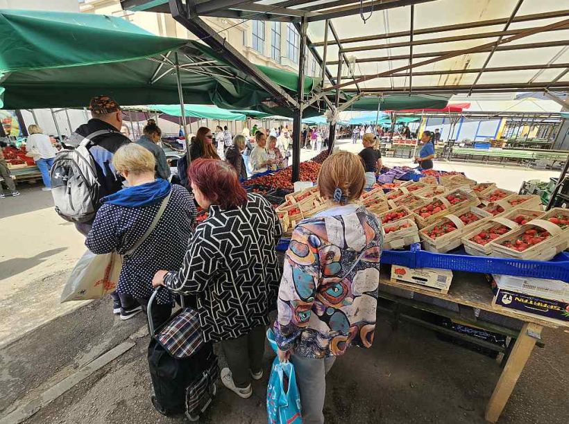 Pie lētāko zemeņu tirgotājiem izveidojušās garas rindas, "Latvijas Avīzes" aptaujātie pircēji ir gandarīti, ka importētās ogas ir lētākas nekā pērn, tās iespējams iegādāties vien par diviem eiro kilogramā.