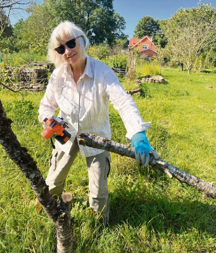 Anna Žīgure "Billītēs". 2026. gada augustā.