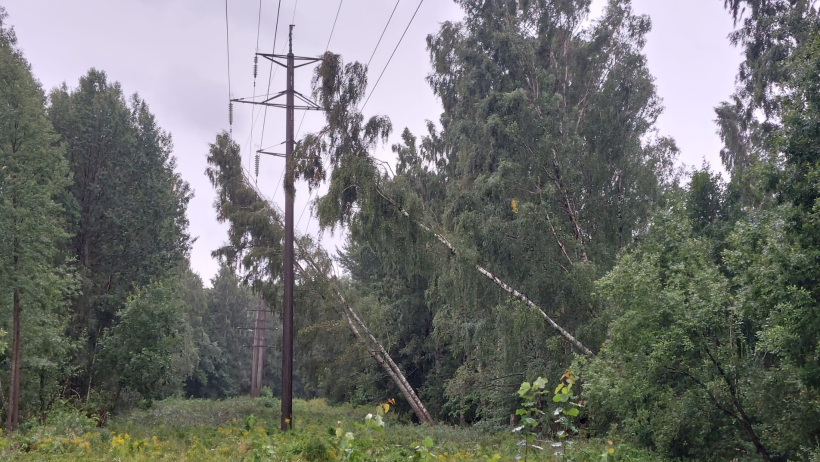 Vētras sekas. Augstsprieguma līnija. Vētras sekas. Augstsprieguma līnija.