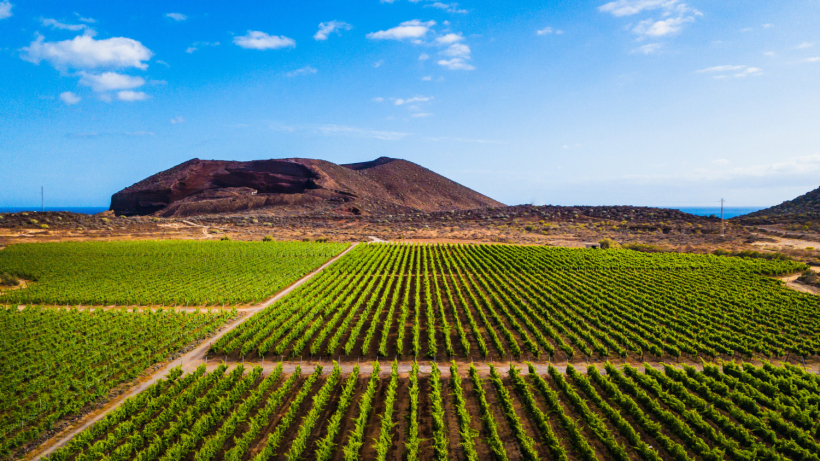 Tenerife.