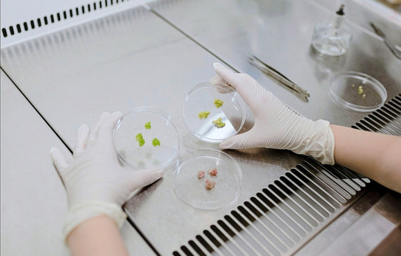 “Alternative Plants” laboratorijā, kur kosmētikas izejvielu tapšanā tiek izmantoti dažādi dabas produkti.