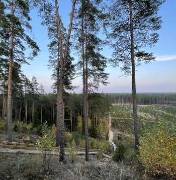 Zvirgzdes kāpa.