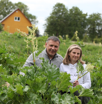 Rabarberi ir "Granskalnu" saimniecības "top" produkts tāpēc, ka no tiem izdevies iegūt labu vīnu. Attēlā: Saimnieki Daina un Māris Zariņi rabarberu laukā.