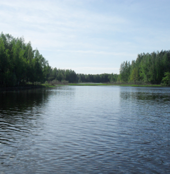 Daugavas tumšie ūdeņi pie Nāves salas.