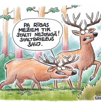 Zīmē Gatis Šļūka. Pa Rīgas mežiem tik stalti nestaigā!