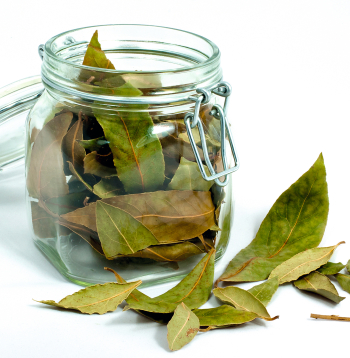 Ja uz nakti apavos ieliek dažas lauru lapas, tad tās ievērojami mazina nepatīkamos aromātus. Arī tualetē tās mazinās nepatīkamos aromātus.