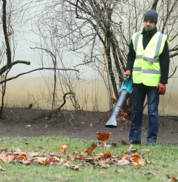 Rudens lapu, koku un krūmu lapu novākšana ar lapu pūtēju.