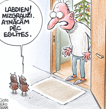Zīmē Gatis Šļūka. Eglīte mizgrauzim