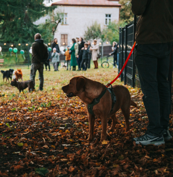 Čiekurkalnā atklāts jauns laukums četrkājainajiem draugiem.