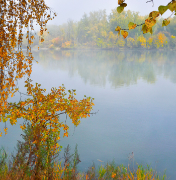 Rudens laiks.