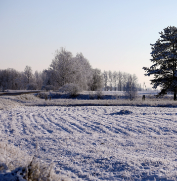 Lauku ainava.