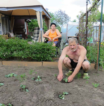 Pāvels Grigorjevs ar kundzi Veru Žundu pamatīgas nedienas pārcietuši un mazdārziņā jūtas kā paradīzē. Tikko iestādīti kāposti.