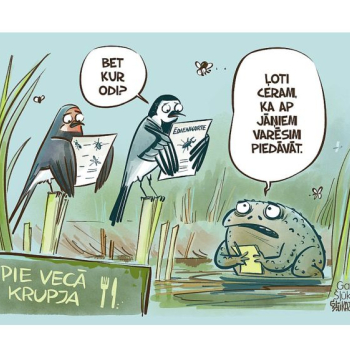 Zīmē Gatis Šļūka. Bet kur odi?