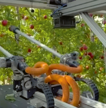 Divrocīgais robots.