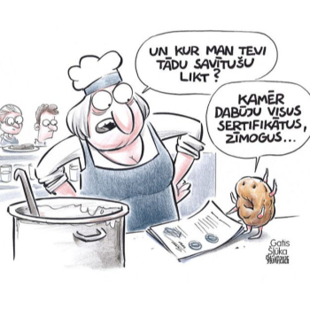 Zīmē Gatis Šļūka. Kur man tevi tādu savītušu likt?