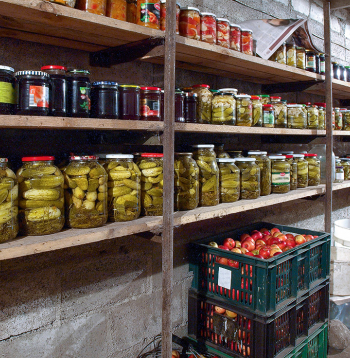 Pagrabā vienkopus tiek uzglabāts daudz dažādu produktu, līdz ar to ir labvēlīga vide, kur izplatīties dažādām slimībām
