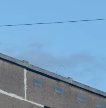 Aizturētais vīrietis uz daudzstāvu mājas jumta.