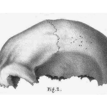 Neandertālieša galvaskausa fragments 19. gs. zīmējumā. Neandertālieša galvaskausa fragments 19. gs. zīmējumā.