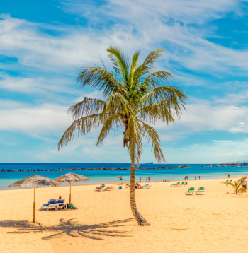 Tenerife. Tenerife.