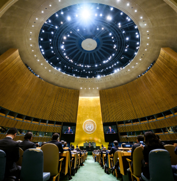 ANO Ģenerālā asambleja.