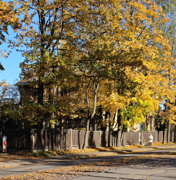 Rudens, Ojāra Vācieša iela 5 un 7. Rīga.