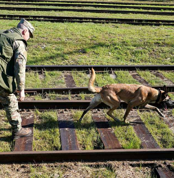 Jau 2023. gadā pieņemtajā Nacionālajā militārās mobilitātes plānā atzīti būtiski trūkumi Latvijas dzelzceļa infrastruktūrā. Attēlā: Latvijas militāro dienestu mācības sprāgstvielu meklēšanā.
