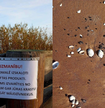 Piekraste Talsu novadā.