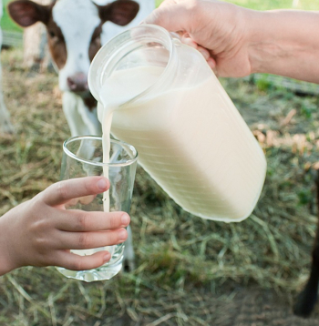 Piena produktu grupā, salīdzinot ar pagājušā gada septembri, kopumā vērojams cenu kritums pilnībā visām precēm 8–39% ietvaros.