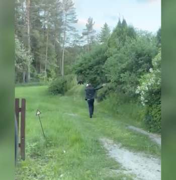 Cilvēks izkāpa no mašīnas un vēl skrēja ar telefonu lācim pakaļ... 