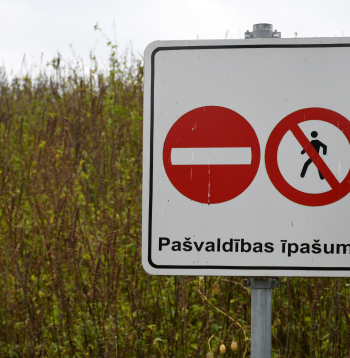 Dūņu lauki "Križi" Augšdaugavas novada Naujenes pagastā.