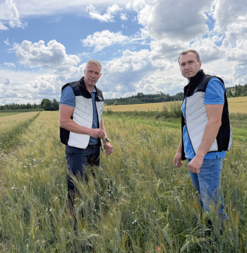 AS "Dobeles dzirnavnieks" agronomi Ģirts Šteinbergs (no kreisās) un Artis Vilbrants jaunās cieto kviešu līnijas laukā vērtē augu veselību.