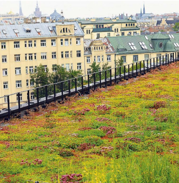 Pilsētas vidē aizvien populārāki kļūst dzīvi, zaļojoši, ziedoši jumti. Uzņēmuma "Green Urban" veidotais zāliens uz "New Hanza" biroja ēkas Rīgā ne tikai iekrāso urbāno ainavu, bet arī sargā ēku no pārkaršanas vasarā vai izsalšanas ziemā, ceļot nama energoefektivitāti. Lai gan segums ir dabisks, jāņem vērā, ka šāds risinājums paģēr lielāku būvkonstrukciju nestspēju, kas savukārt var nozīmēt arī, piemēram, lielāku betona patēriņu.