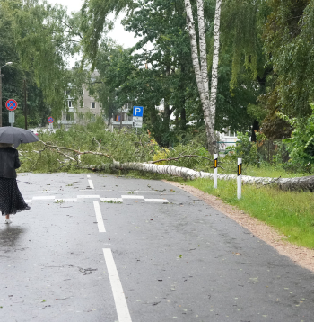 Vētras postījumi Rīgā - Imantā.