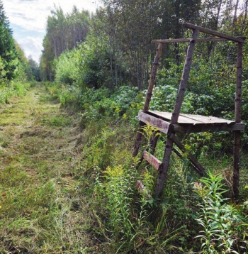 Medībās ar traucēšanu var izmantot arī stāvtornīšus, taču tādā pavadīt vairākas stundas nav ērti. Arī dzīvniekam pamanīt mednieku tajā ir vienkāršāk. Labāka izvēle ir augstāki torņi. Medībās ar traucēšanu var izmantot arī stāvtornīšus, taču tādā pavadīt vairākas stundas nav ērti. Arī dzīvniekam pamanīt mednieku tajā ir vienkāršāk. Labāka izvēle ir augstāki torņi.